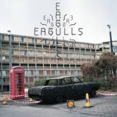 Eagulls Nerve Endings